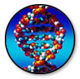 Dna strand 01 01